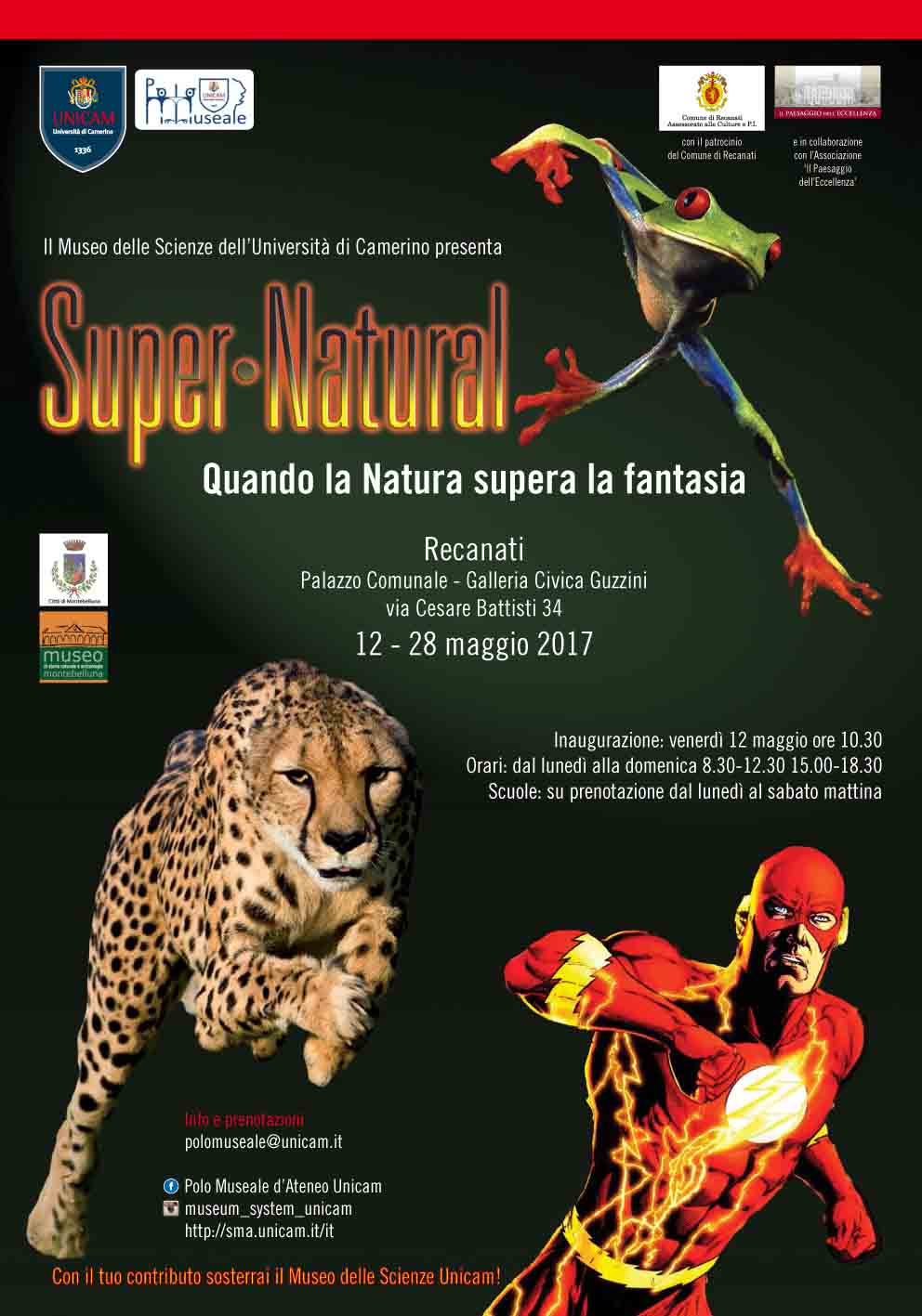 unicam super natural recanati